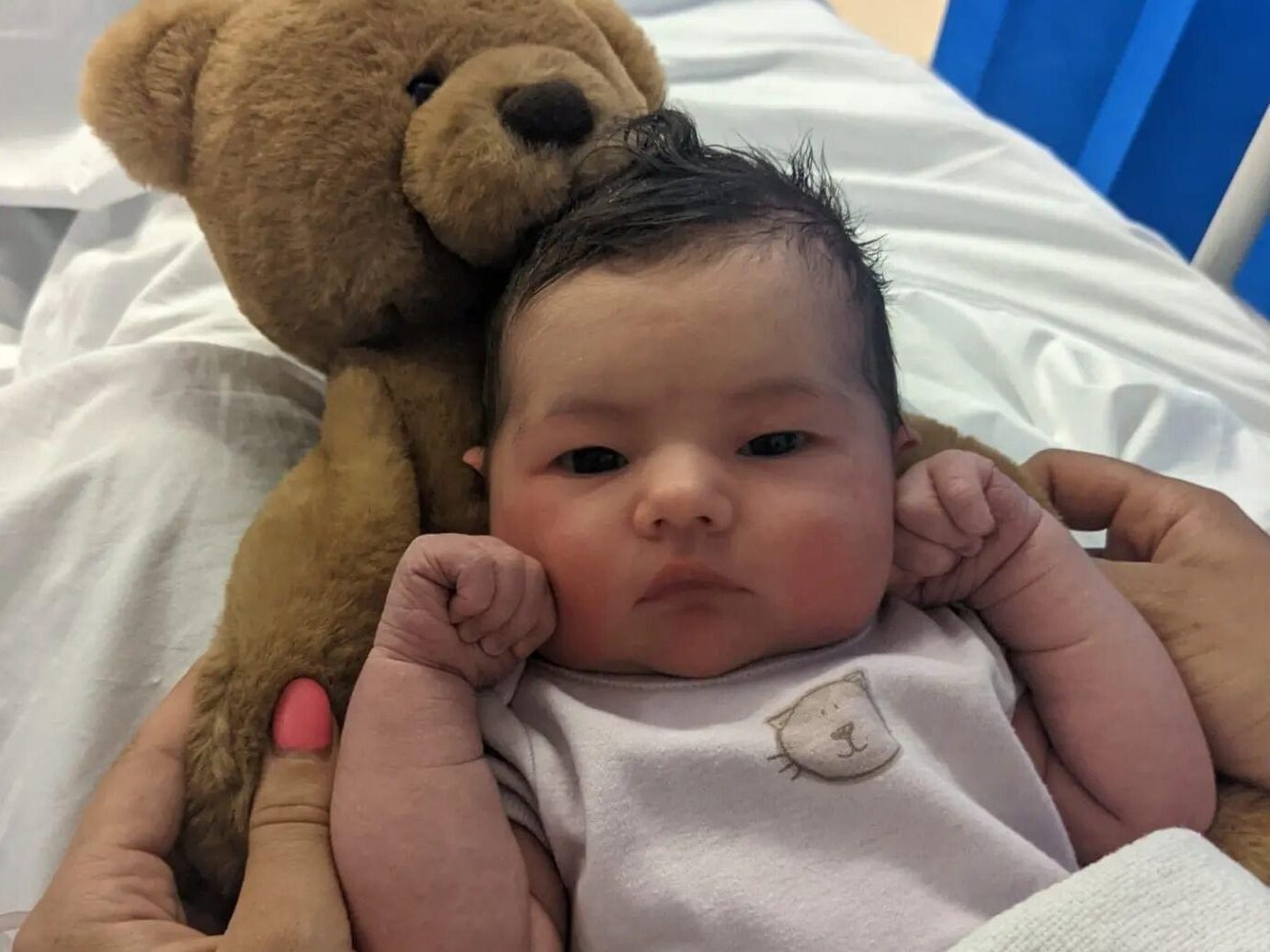 Newborn baby with teddy bear shortly after a positive caesarean birth.